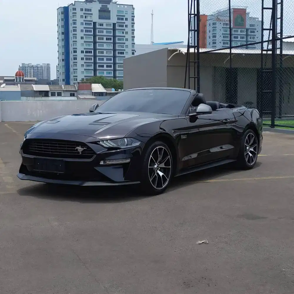 Ford Mustang Cabriolet 2.3 High Performance Ecoboost 2022