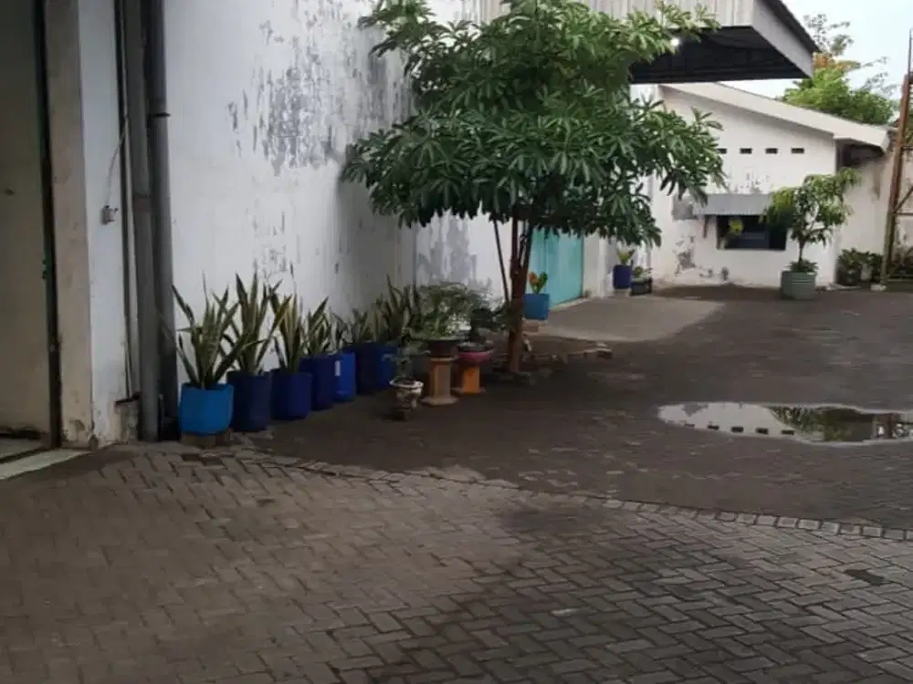 EX Pabrik Rokok Blitar