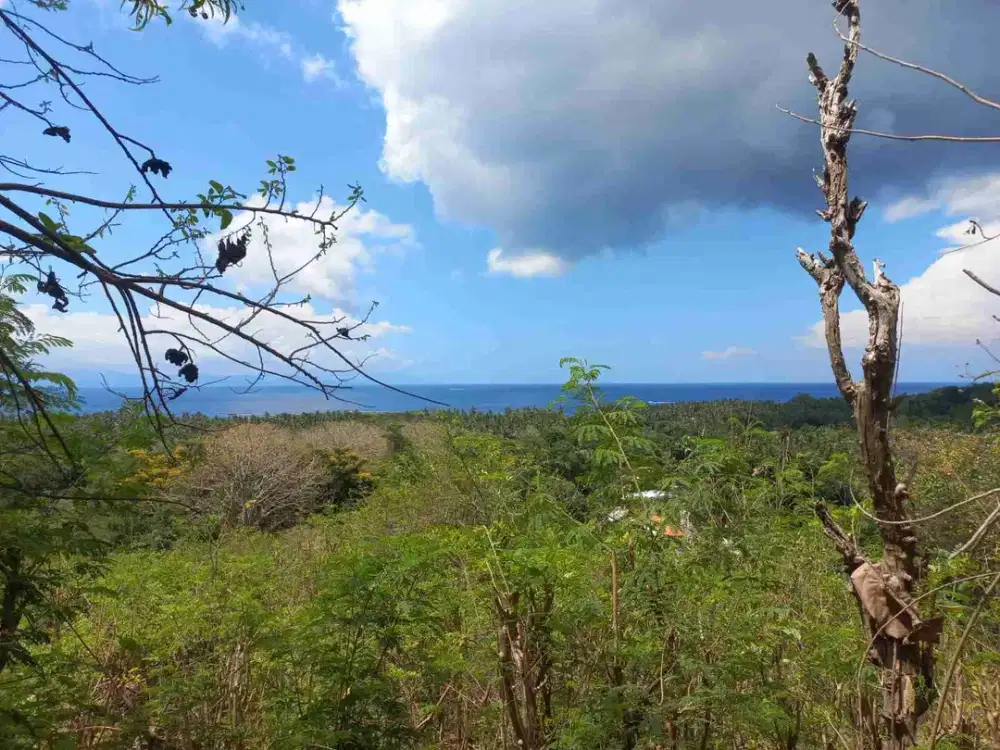 ocean view land in Ped nusa penida with very good deal of price, ready to go