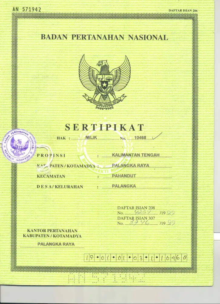 Pinggir Jalan Lingkar Luar Palangkaraya/ Mahir mahar