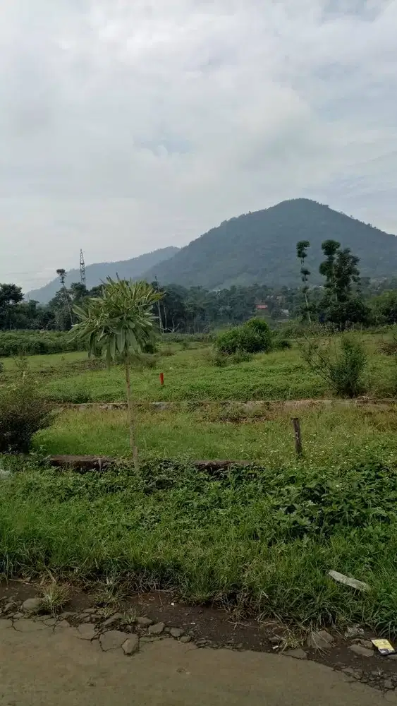 DIJUAL TANAH, TANAH DATAR Lokasi Sangat Strategis, Belakang ALUN2