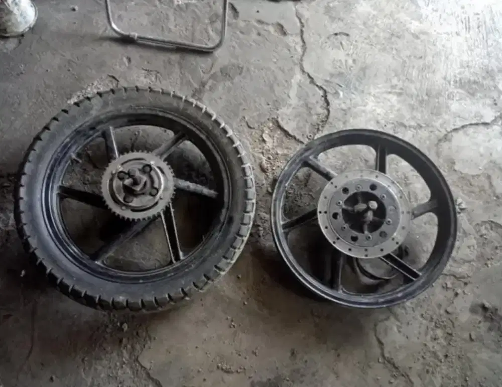 Velk tiger ori komplit di srengseng sawah