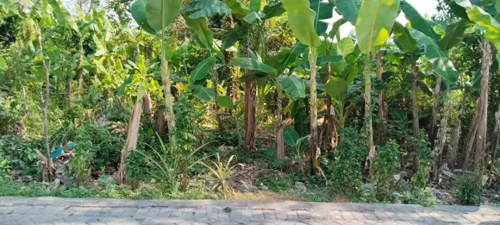 Dijual tanah dekat sekolah