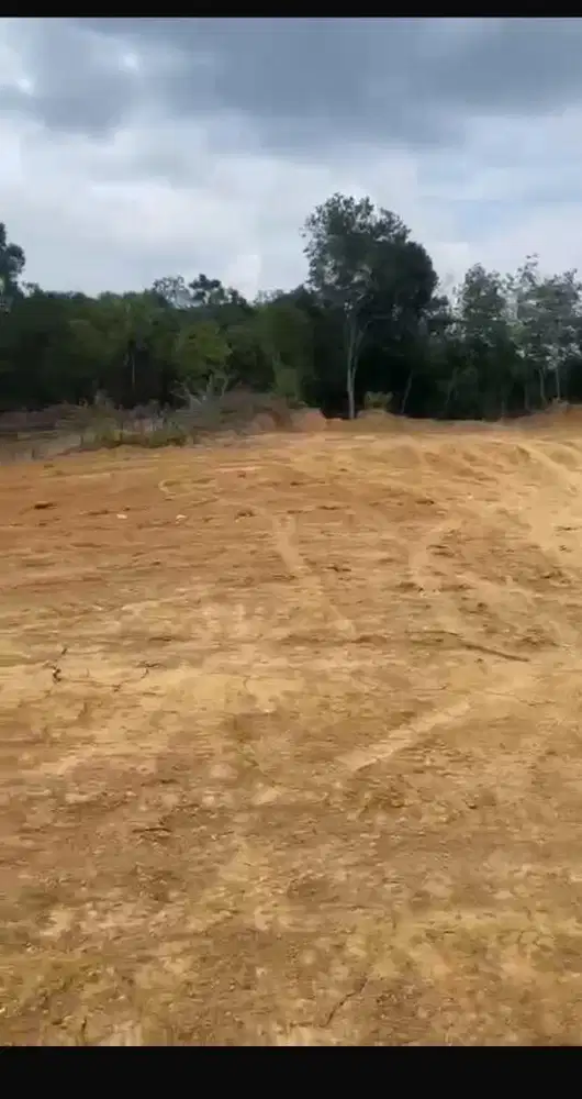 Tanah dekat IKN dijual tanpa perantara