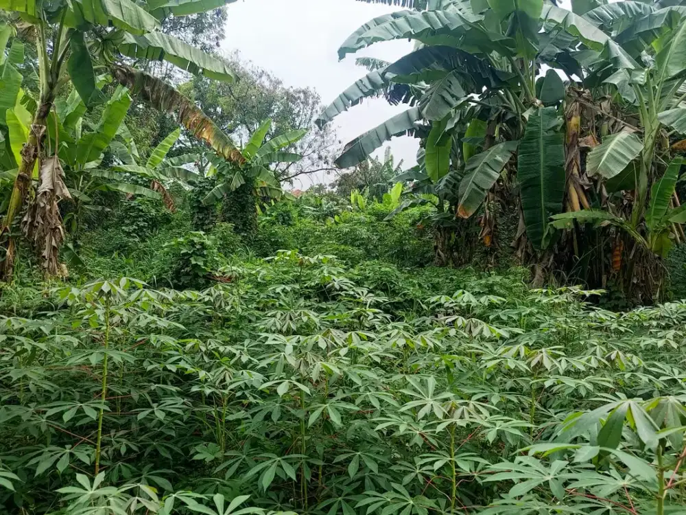 DISEWAKAN TANAH STRATEGIS DI PEKAYON BEKASI