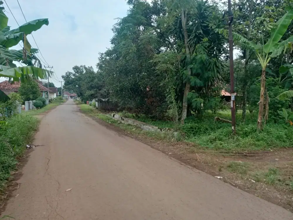 tanah murah dekat gerbang tol kalijati subang