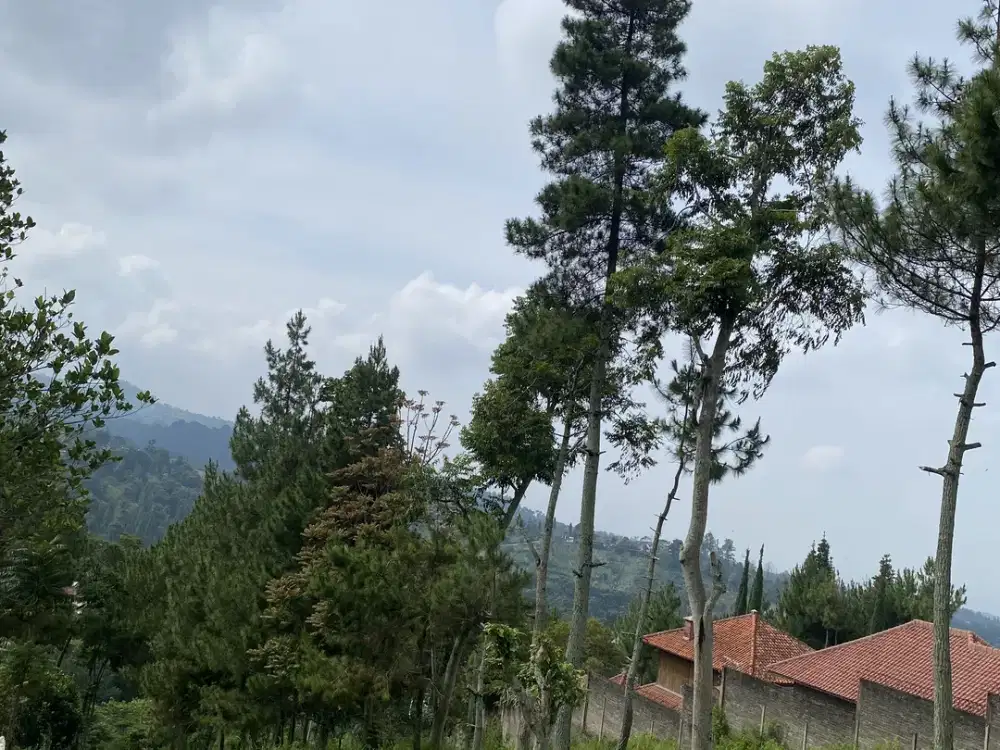 Tanah dago giri disebelah cottage cocok untuk villa