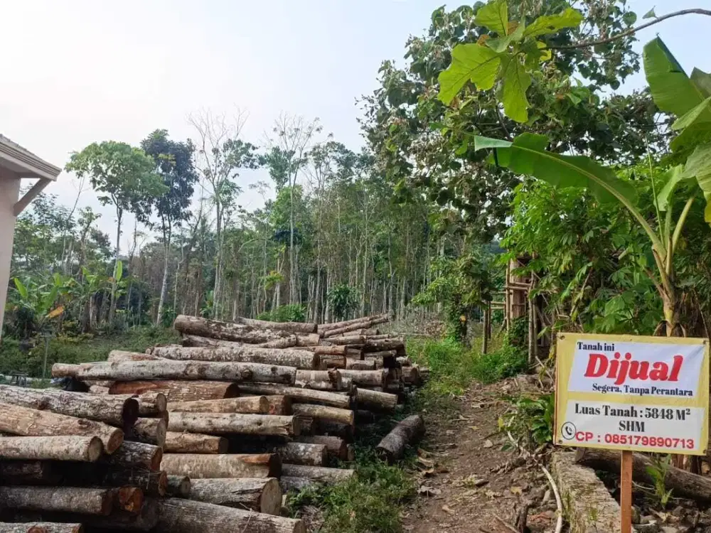 Dijual! Tanah Kebun SHM Cimalaka, Sumedang