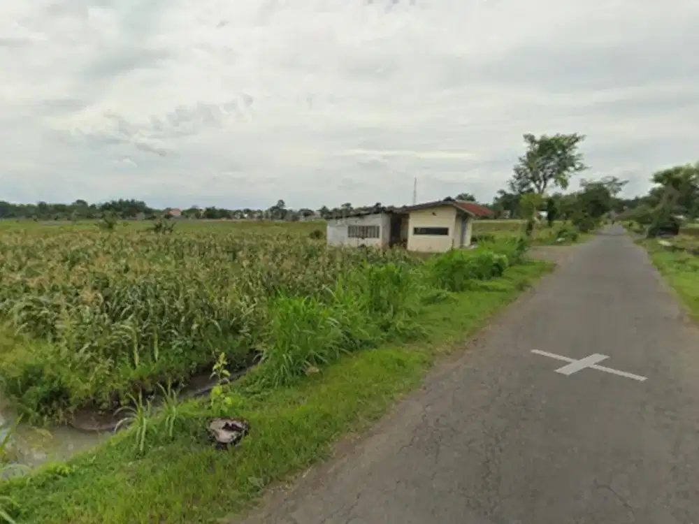 Dijual Tanah / Rumah Desa Sekoto kec badas pare, Harga Nego Sampai Jadi