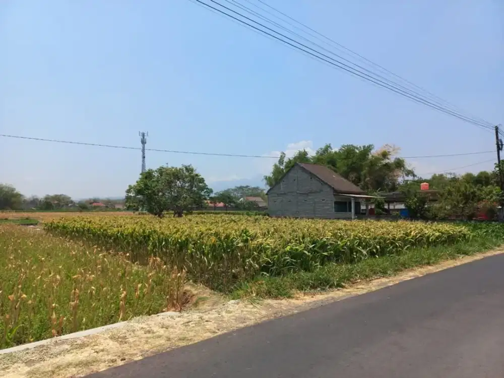 Dijual Tanah / Rumah Ds kaliboto kec tarokan kediri Sekoto, Harga Nego Sampai Jadi