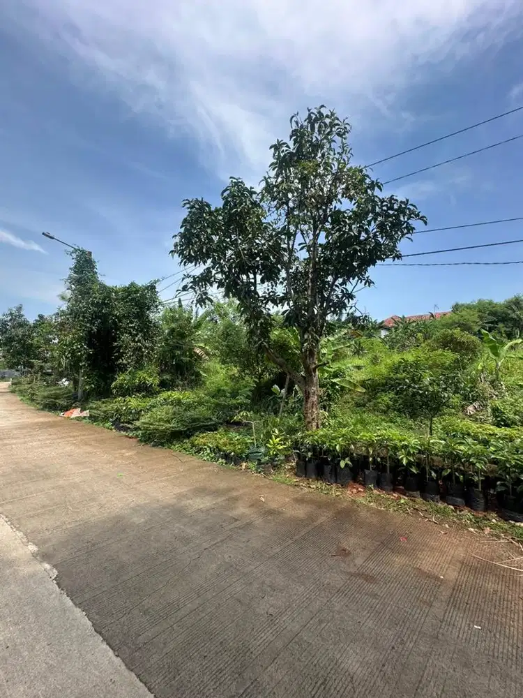 Dijual tanah luas belakang kantor KPU CIBINONG