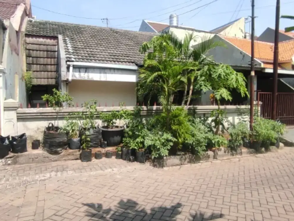 ‼️MURAAAAH‼️RUMAH HITUNG TANAH PANDUGO RUNGKUT DEKAT MERR