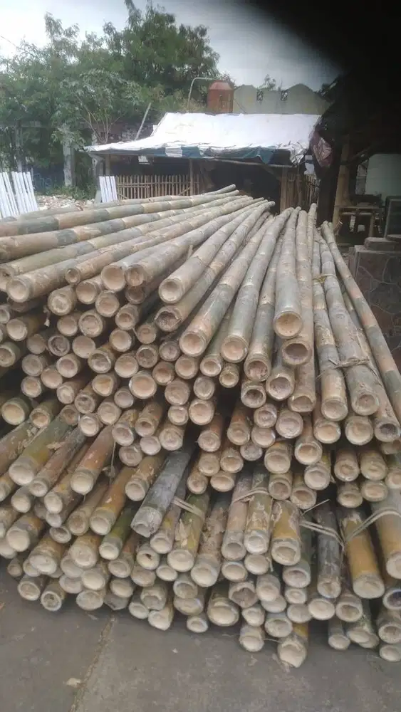 SEDIA BAMBU UNTUK STEGER ATAU BAMBU UNTUK BEKISTING