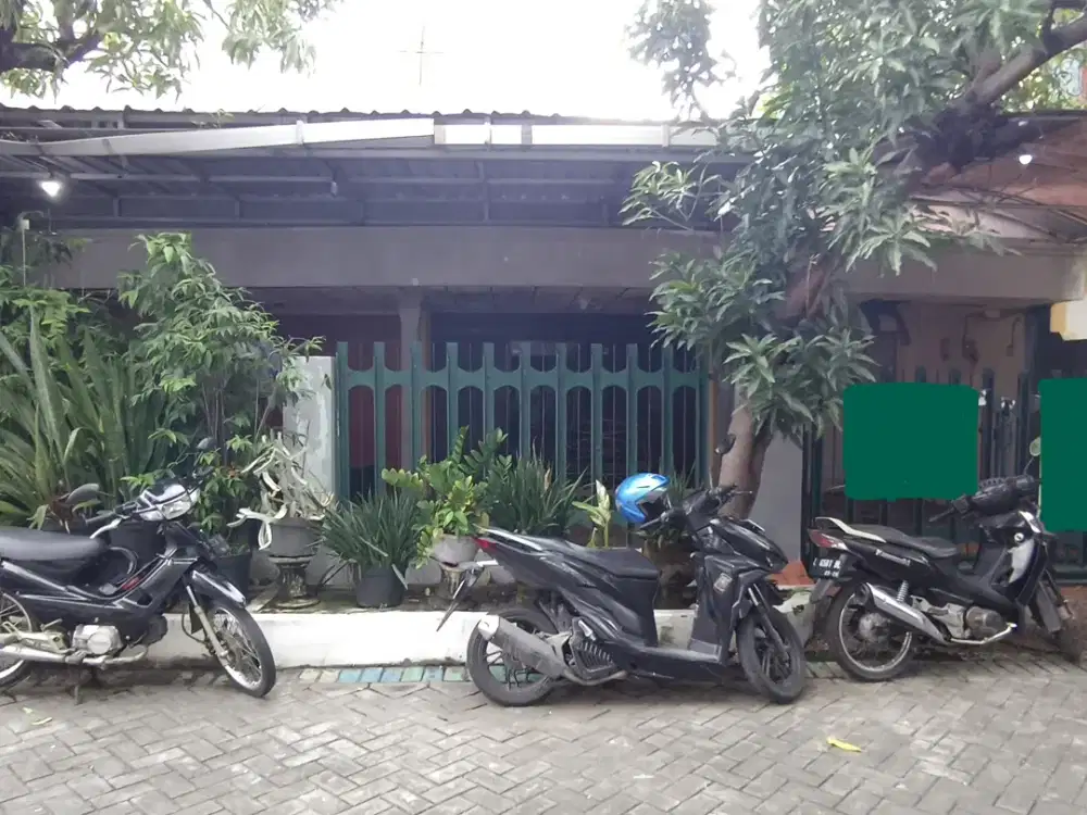 ‼️JUAL CEPAT ‼️ RUMAH LAMA di PERUM. SEMOLOWARU. DEKAT MERR, KAMPUS