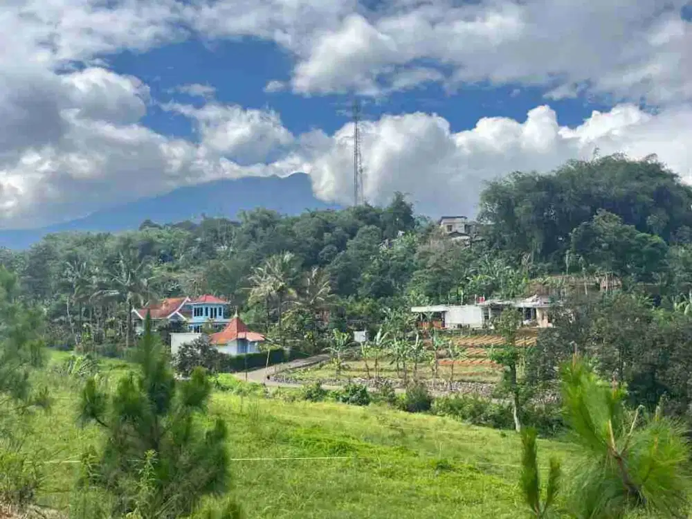 dijual tanah luas 2000m shm dicisarua puncak bogor
