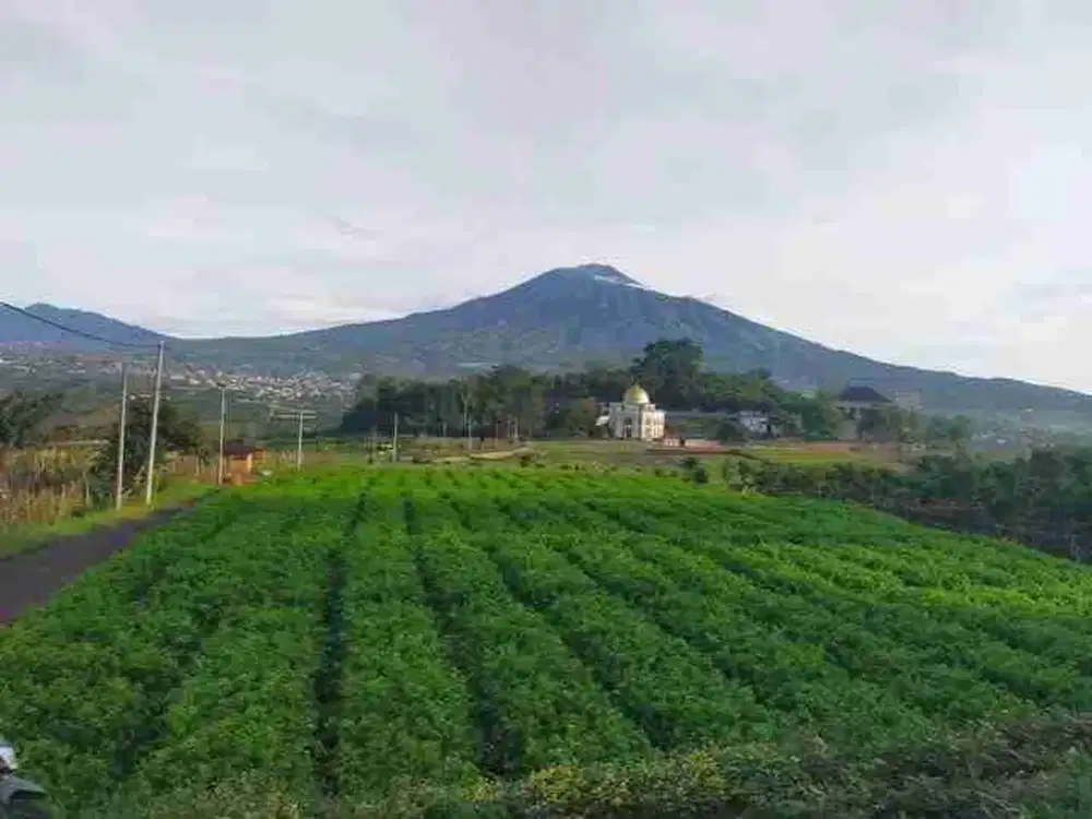 tanah pemandangan full di junrejo batu dekat gunung wukir bagus buat villa atau kafe dekat wisata di batu