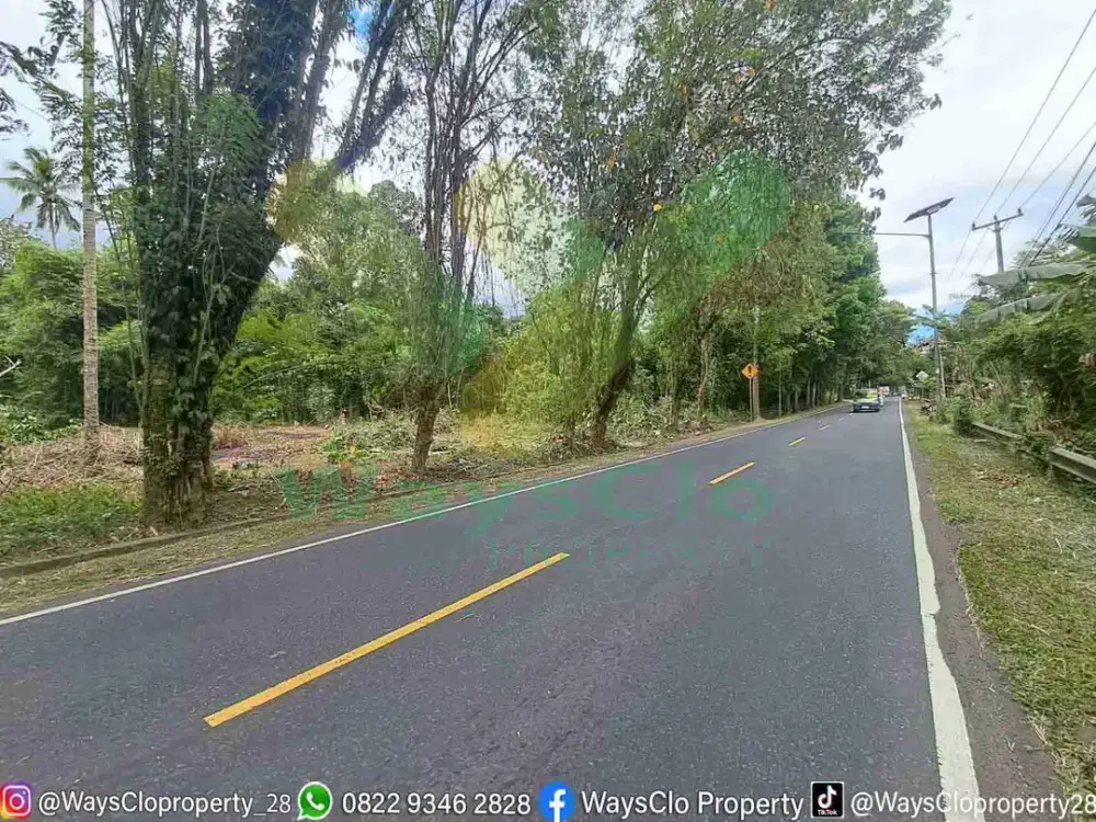 DIJUAL CEPAT TANAH STRATEGIS DAERAH KAUDITAN, HARGA SANGAT MURAH