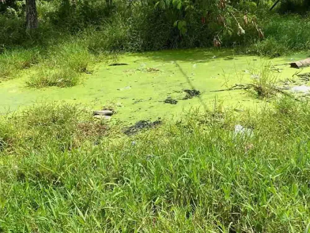 Di Jual Cepat Tanah Rata Cocok Untuk Bangun Rumah, Kost2 an dan Cluster di Desa Babelan Kota