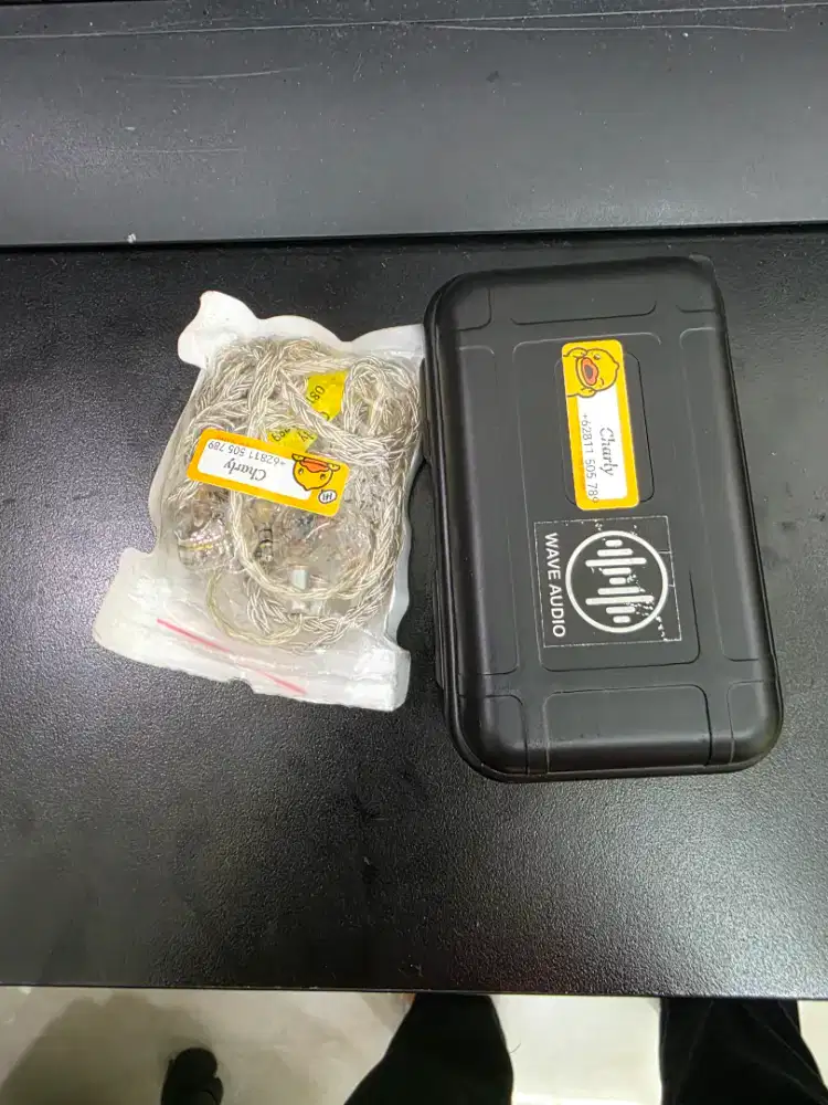 Wave Audio Ear Monitor Murah bgt