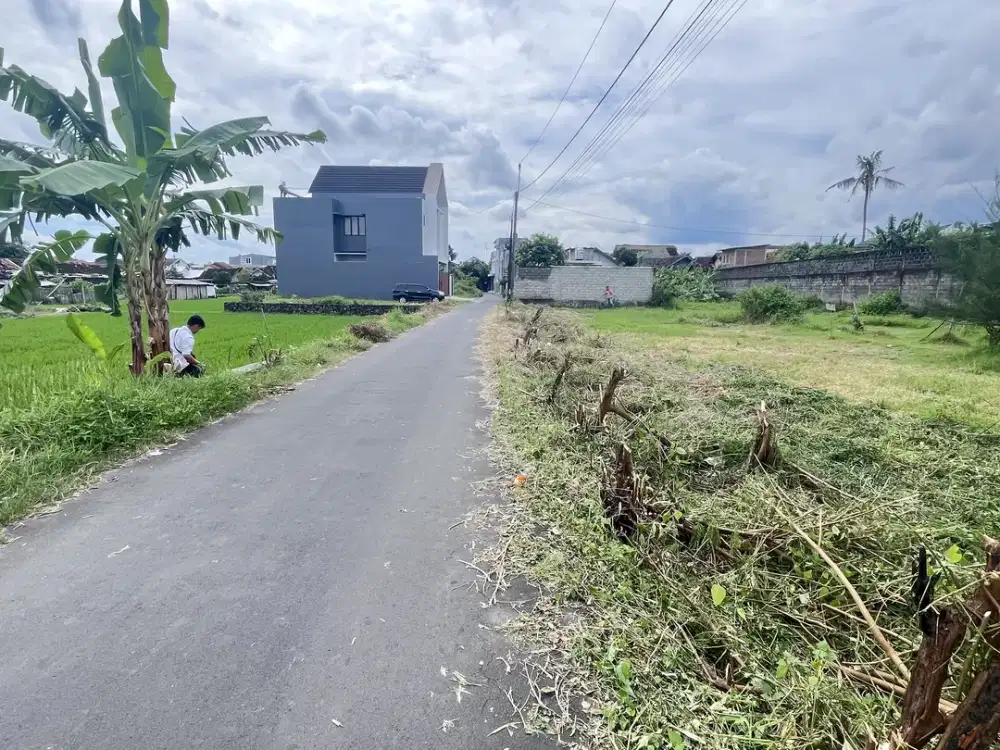 Tanah Barat SKE Jambon Cocok hunian 400 jutaan saja