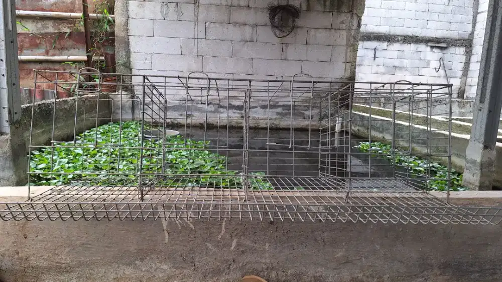 jual sangat murah kandang ayam petelur