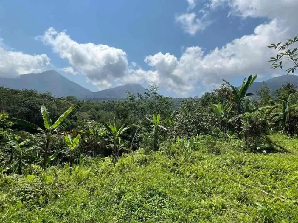 Di jual tanah di kawasan pariwisata dengan view gunung dan sawah, di ketinggian  800 MDPL