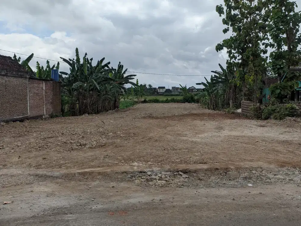 Wonokromo; Tepi Aspal, Siap Bangun; SHM