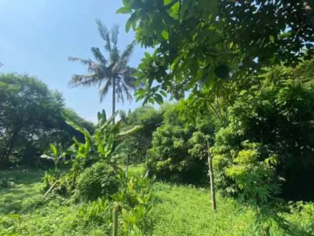 FOR SALE TANAH DAN BANGUNAN Komplek Villa Dago