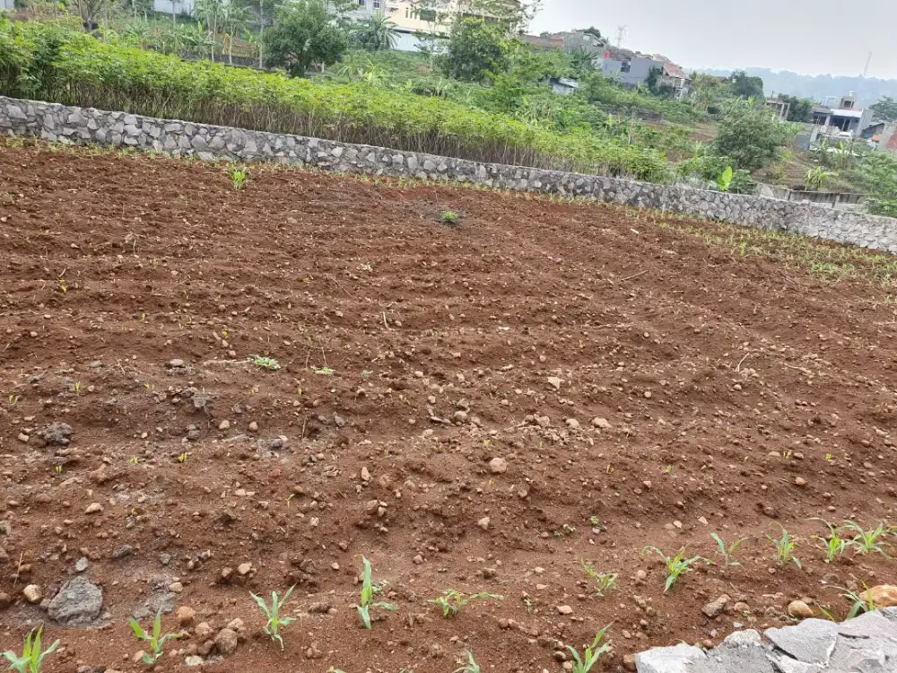 Jual Tanah Jangli Gabeng Semarang