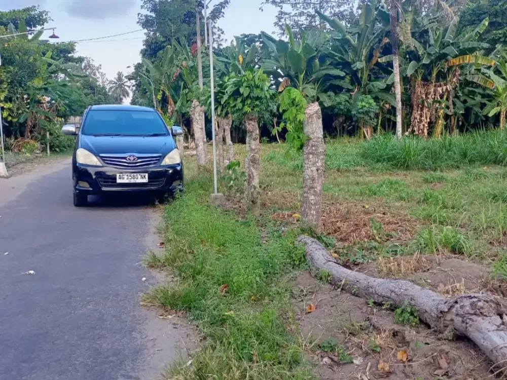 Di Jual Tanah Pekarangan Dekat Jalan Raya Tugurante - Nglempung Blitar