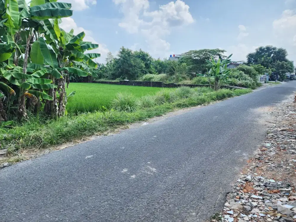 Tanah di Maguwoharjo Sleman, Lingkungan nyaman dan berkembang