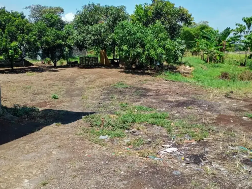 Dijual Tanah Sawah Area Sapan, Kota Bandung