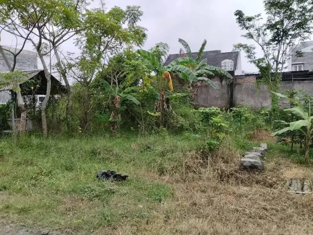 Tanah Siap bangun Perum Griya Mangli