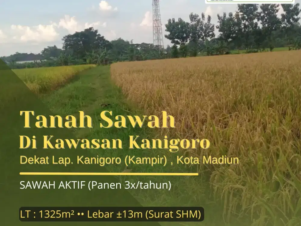 Tanah Sawah Dekat Lapangan Kampir, Kojo