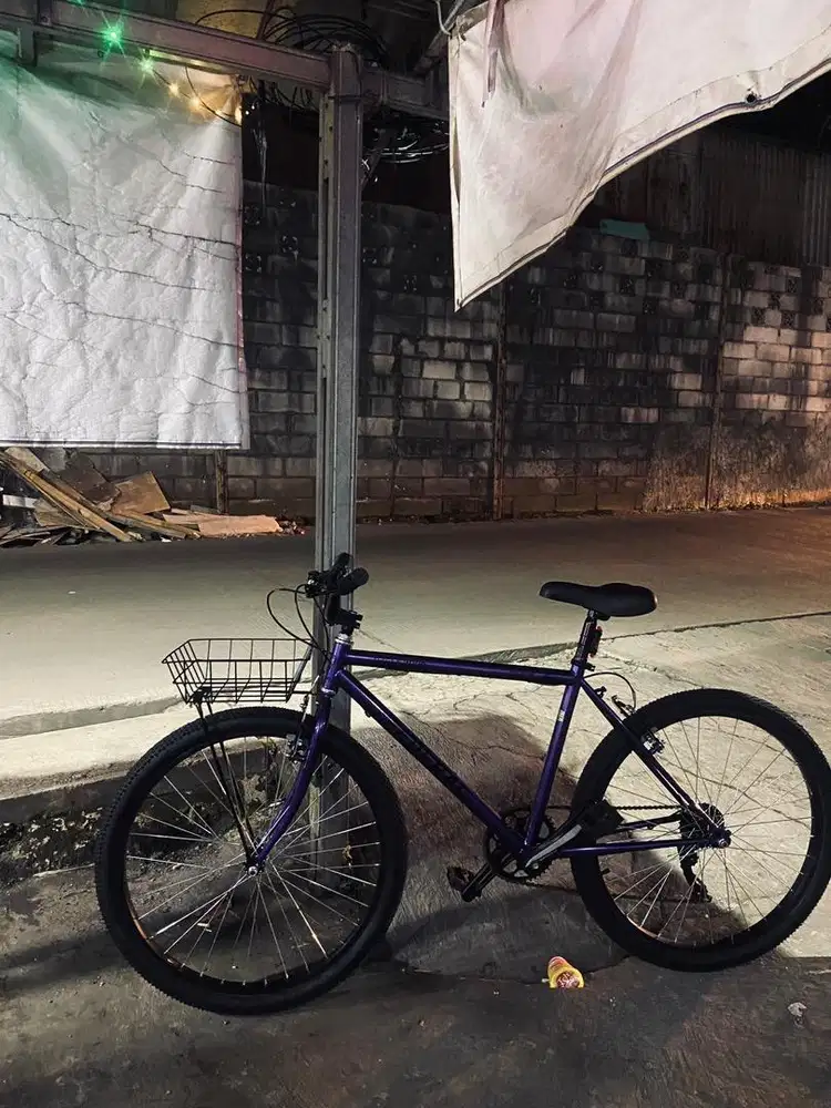 Sepeda FEDERAL UNBRND