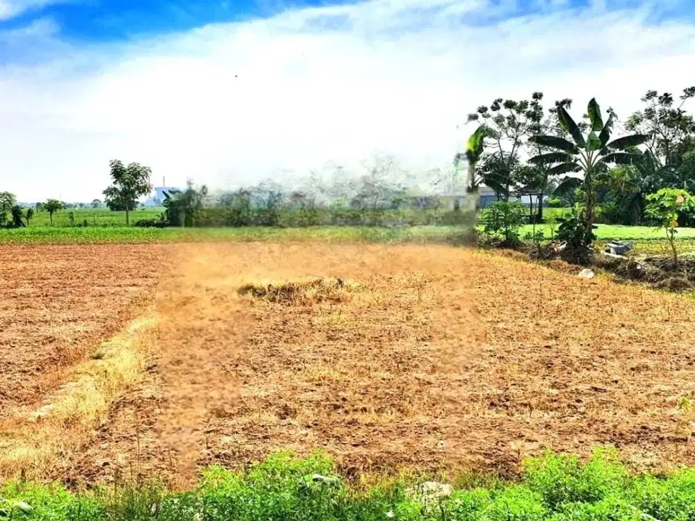 Lahan tanah luas 60x41 2478m Babelan Bekasi