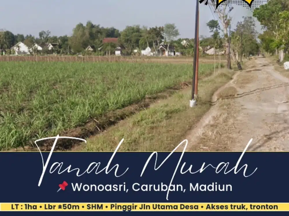 Tanah Sawah Murah di Wonoasri, Caruban