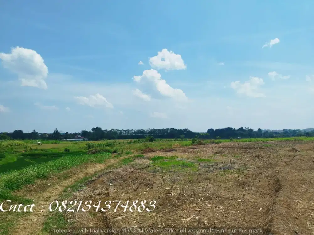 Dijual tanah di Mijen Semarang, View indah, cocok untuk wisata alam