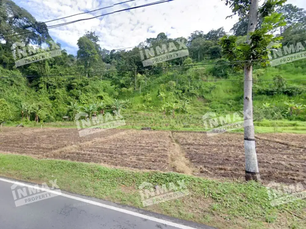 TANAH LUAS 3.050 m2 ,NGANTANG MALANG,DEKAT WISATA AIR TERJUN