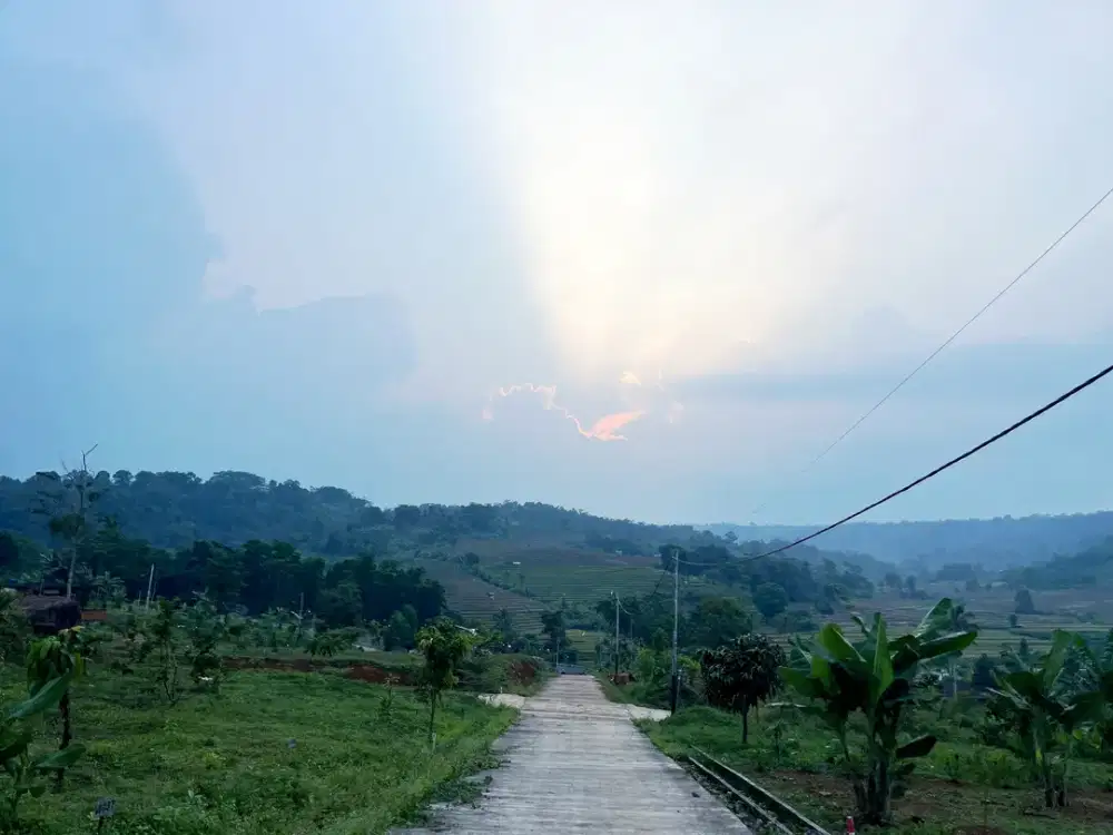 Jual Tanah Murah di Bogor Proses Mudah Legalitas Lengkap Aman Free AJB