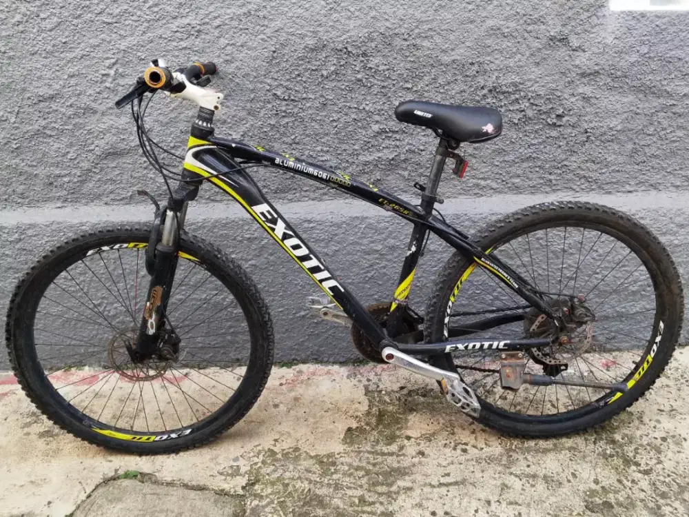 Sepeda gunung Exotic ET-2658