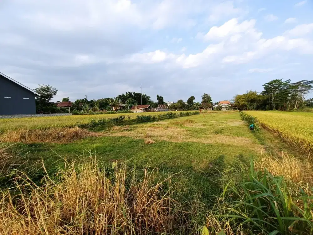 Tanah Murah 110 m² SHM Dekat Fasilitas Lengkap Godean