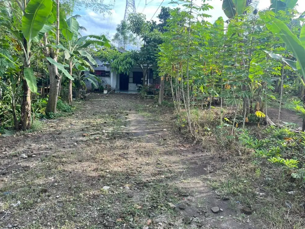 Tanah ladang ada rumah nya
