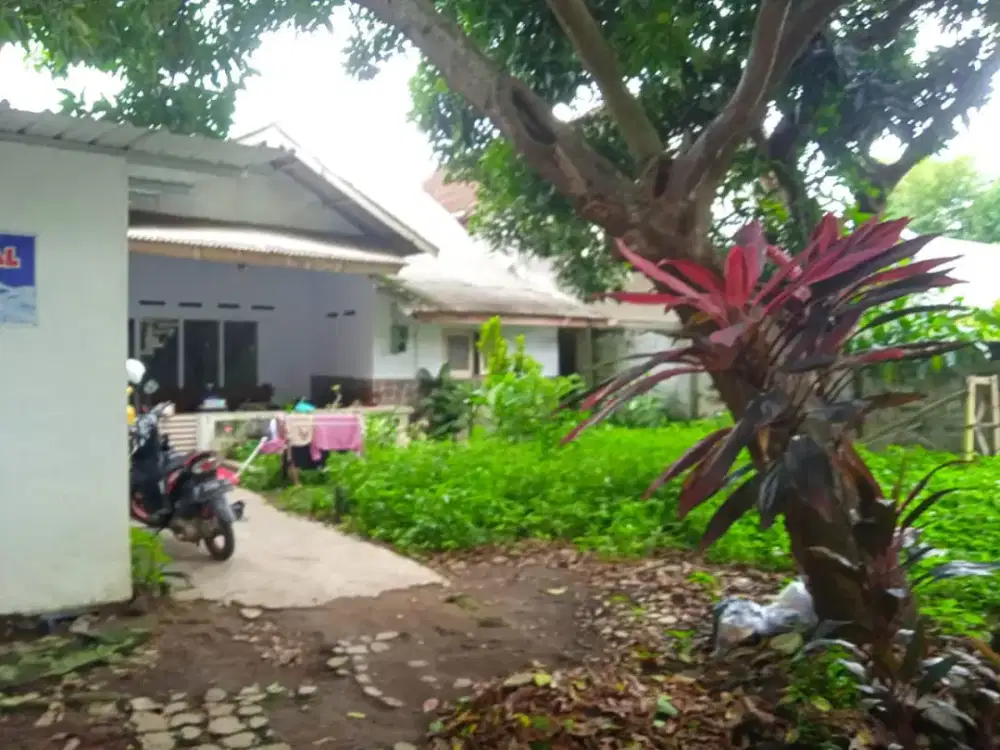 Rumah Luas Tengah Kota Kebonsari