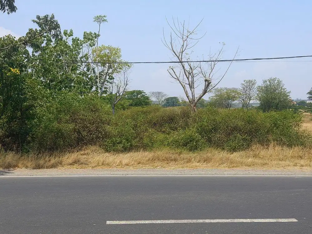 Tanah Murah nol jalan Raya cocok untuk Gudang /pabrik