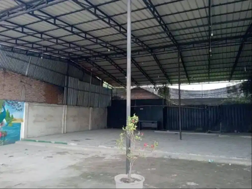 Disewakan Tanah Strategis 800 m²  Lokasi Ramai & Potensial untuk Usaha