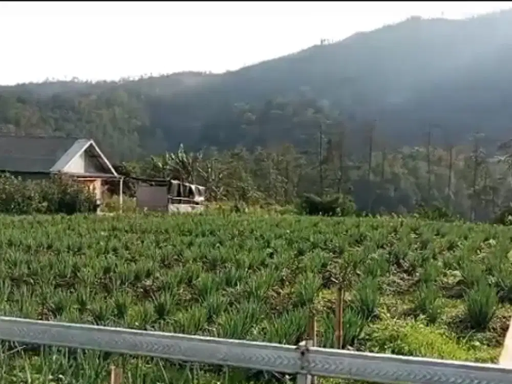 TANAH VIEW MENAWAN COCOK UNTUK RUMAH SINGGAH