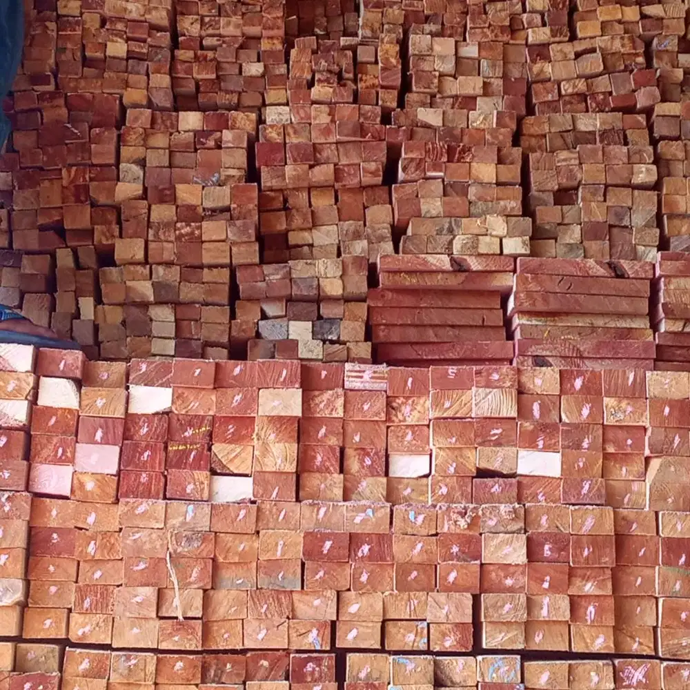 SEDIA KASO DAN BALOK