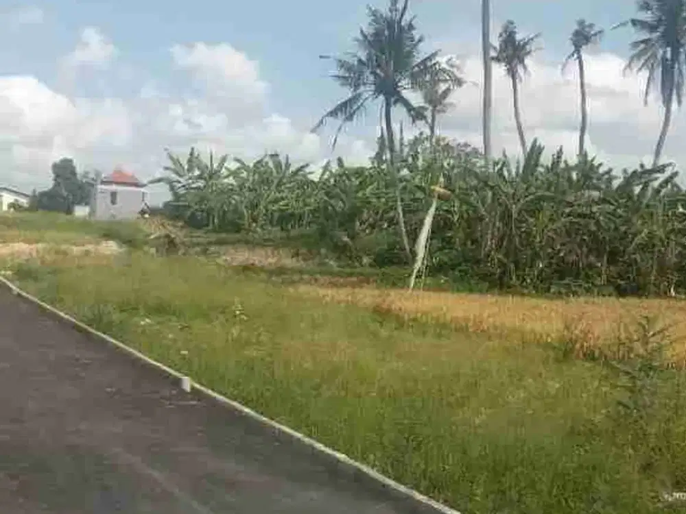 Sale tanah strategis 1are sdh shm antasura peguyangan dkt sman8,smpn12