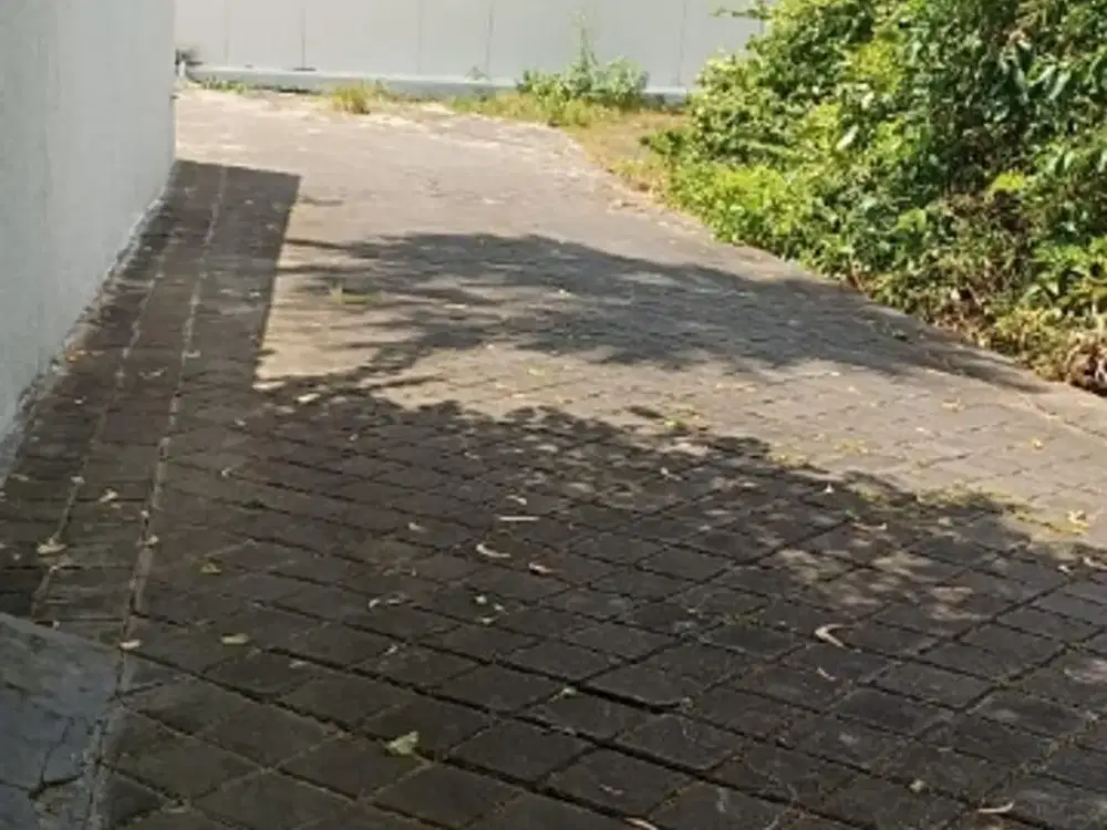 Tanah 290m2 dekat jalan utama Toya ning - Ungasan